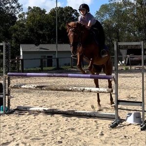 Meet your Posher, Grace